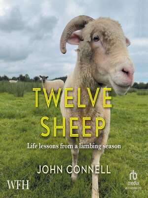 cover image of Twelve Sheep